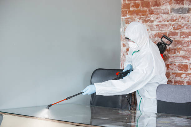 Best Biohazard Mold Removal  in Canton, GA